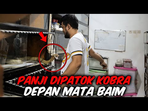 BARU KETEMU SANG MAESTRO PANJI, MALAH LIAT TRAGEDI BEGINIAN ‼️