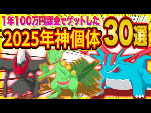 ポケスリ課金250万円が2025年にゲットした神個体30選がヤバすぎた！2025年最後の睡眠リサーチと共に今年のポケスリを振り返ります【ポケモンスリープ】【Pokémon Sleep】
