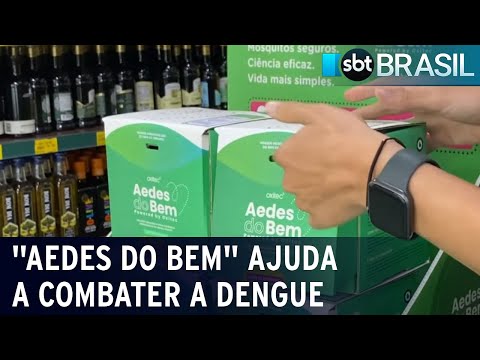 ''Aedes do Bem'' ajuda no combate à dengue | SBT Brasil (24/02/24)