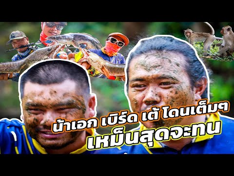 น้าเอก-เบิร์ด-เต้-โดนเต็มๆเหม็ น้าเอก-เบิร์ด-เต้-โดนเต็มๆเหม็