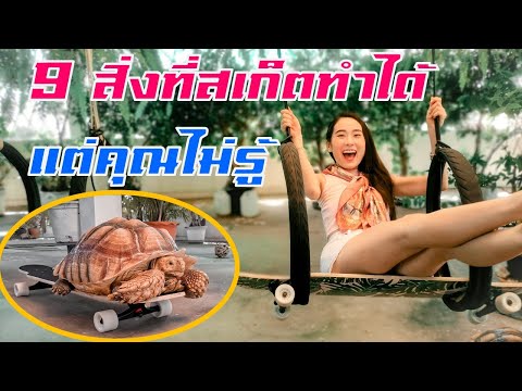 เล่นสเก็ตบอร์ดแบบเกรียนๆฮาๆ|