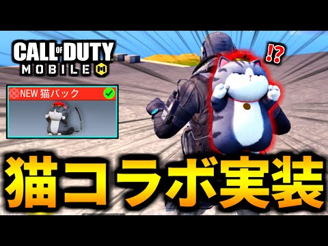 【CoD:MOBILE】新しい猫コラボ実装！スプリーモキャットがやばいバトロワ【CoDモバイル】