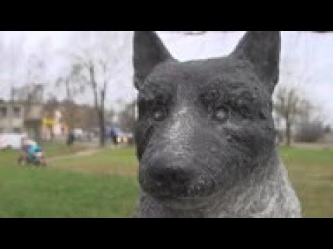 Estonians erect statue of beloved stray dog