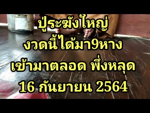 ปู่ระฆังใหญ่-งวดนี้ได้มา9หาง-เ ปู่ระฆังใหญ่-งวดนี้ได้มา9หาง-เ
