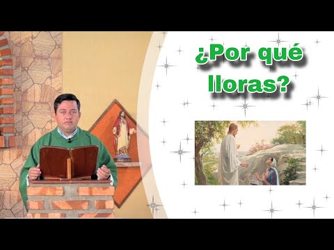 MISA DE HOY Lunes 22 de Julio  de 2024- Padre Ricardo Prato