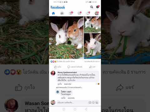 วิธีแก้ไข-facebook-กดดูรูปที่ม วิธีแก้ไข-facebook-กดดูรูปที่ม