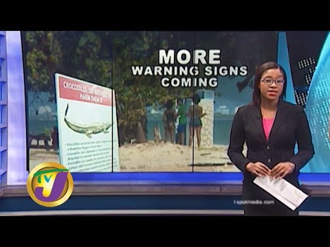 TVJ News: More Warning Signs Needed for Crocodiles - January 2 2020