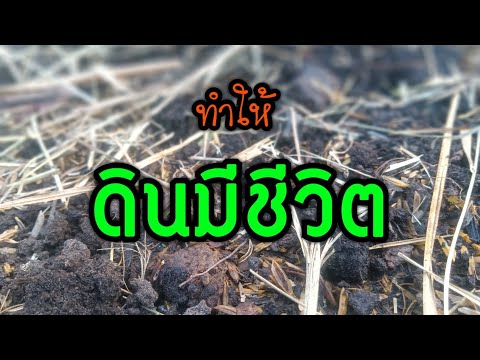 ทำให้ดินมีชีวิต