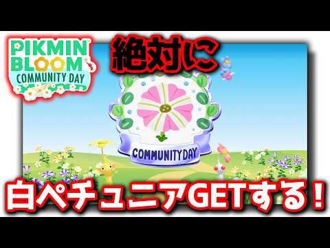 【ピクミンブルーム】絶対に白ペチュニアをGETする！【Pikmin Bloom】