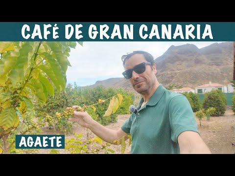 Café de Gran Canaria