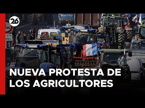 FRANCIA | Nueva protesta de los agricultores