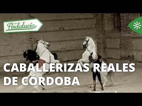 Destino Andalucía | Caballerizas Reales de Córdoba