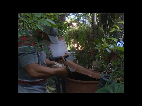 Baja incidencia de arbovirosis en Cienfuegos en primer trimestre de 2023