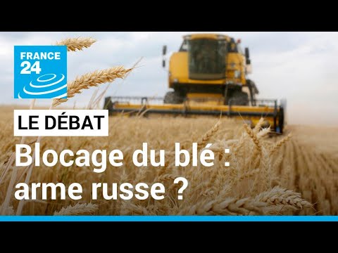 Blocage des céréales en Ukraine : l'autre arme de la Russie ? • FRANCE 24