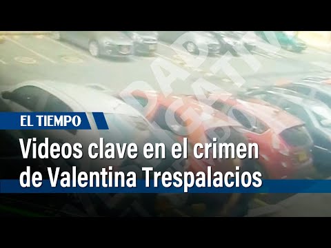 Los videos del carro gris clave en el crimen de la DJ Valentina Trespalacios | El Tiempo