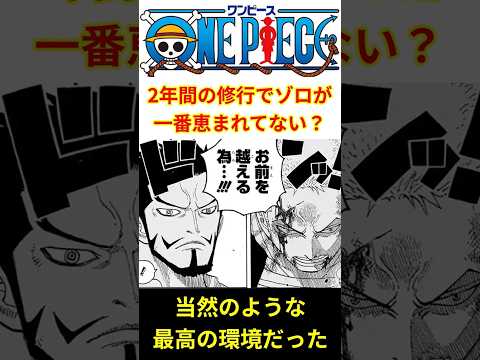 2年間の修行期間中は麦わらの一味の中でゾロが一番環境に恵まれてない！？ #shorts #ワンピース #onepiece
