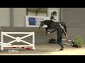 Show jumping horse Darco (Darco x Cornet Obolensky)