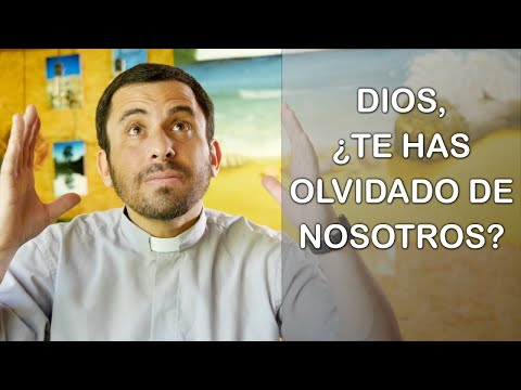 Dios, ¿te has olvidado de nosotros? - Homilía del domingo 12do del tiempo ordinario