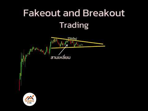 Forexสอนเทรด:896-Fakeout