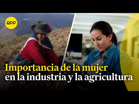 ¿Cuál es el aporte de las mujeres en la industria y la agricultura? | Economía peruana