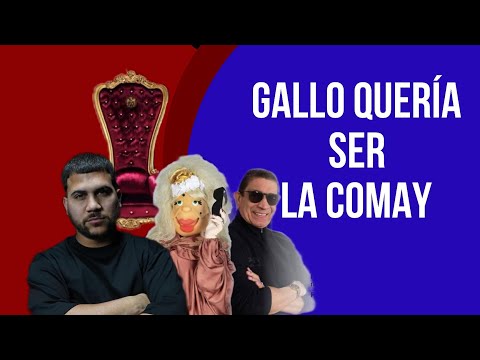 GALLO THE PRODUCER DICE QUE OBA A TOMAR EL PUESTO DE LA COMAY