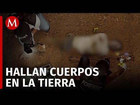 Madres buscadoras hallan restos humanos en dos municipios de Sonora