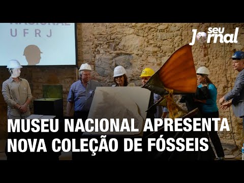 Museu Nacional apresenta nova coleção de fósseis
