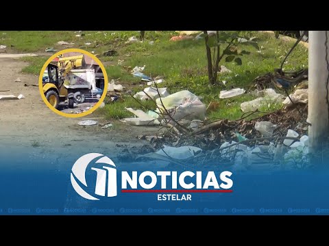 Más de mil toneladas de basura se recogen en San Pedro Sula
