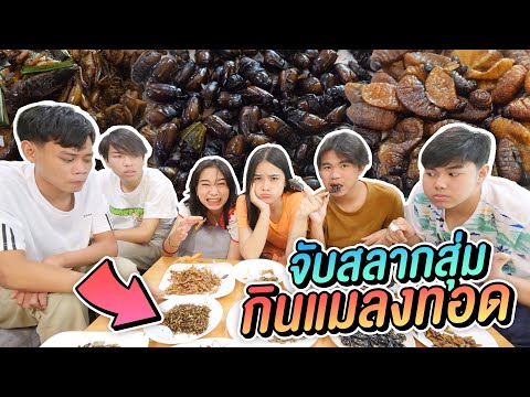 สุ่มกิน-แมลง-กรี๊ด-!!-ลั่นเลยเ สุ่มกิน-แมลง-กรี๊ด-!!-ลั่นเลยเ
