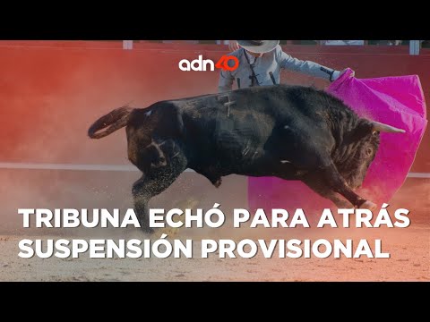 Sí habrá corridas de toros I República Mx