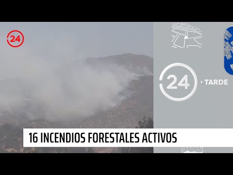 Cobertura total de incendios forestal | 24 Horas TVN Chile