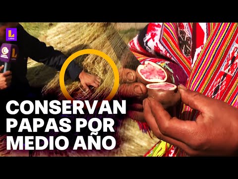 Así conservan la papa por más de medio año en Cusco: Conoce más sobre el método 'La Fina'