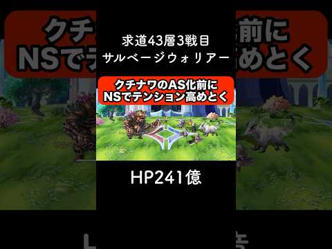 【アナデン】求道43-3 NSクチナワでAS化前にテンション上げとく【アナザーエデン】