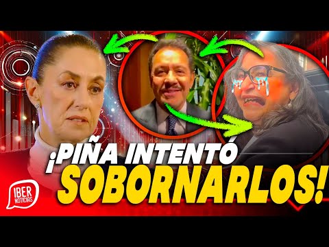 MIÉRCOLES NEGRO PARA PIÑANACHO MIER REVELA LAS INTENCIONES DE LA MINISTRA, ESTO LLEGÓ A PALACIO