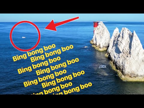 We absolutely smashed the Isle of Wight THE UK TOUR, uk sea fishing