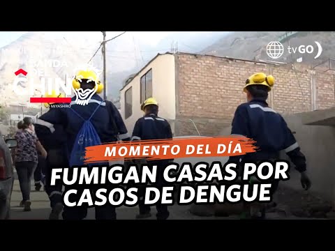 La Banda del Chino: Inician las fumigaciones en las casas tras casos de dengue (HOY)