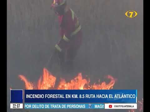 Incendio forestal en km. 8.5 de la ruta hacia el Atlántico