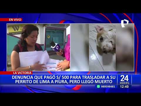 Pagan S/ 500 para trasladar a perrito de Lima a Piura y llega muerto
