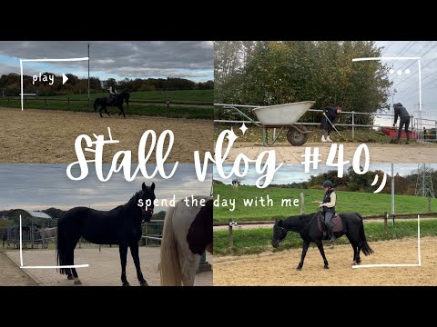 Stable Vlog #40 - Holly submits a sniff, a short ride, and some stable work💗🐴