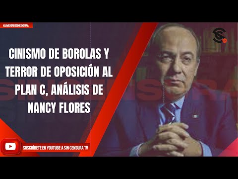 CINISMO DE BOROLAS Y TERROR DE LA OPOSICIÓN AL PLAN C, EL ANÁLISIS DE NANCY FLORES