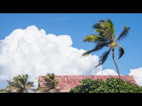 “Sopla fuerte el viento”: así impacta las condiciones del tiempo en Puerto Rico