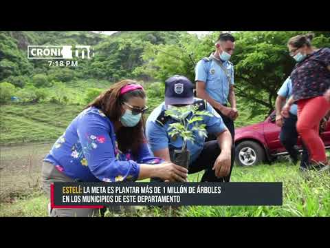 Jornada de reforestación dio inicio en San Nicolás, Estelí - Nicaragua