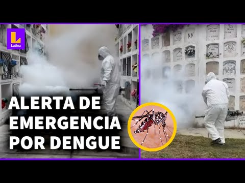 Surco se declara en alerta por emergencia sanitaria a causa del dengue
