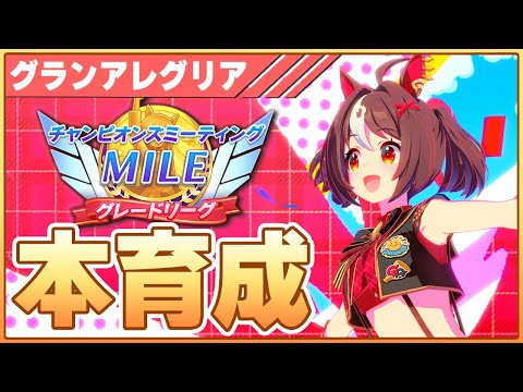 【ウマ娘】生活リズム崩壊しちゃった...深夜の青ルビー本育成【チャンピオンズミーティングMILE／阪神1600】