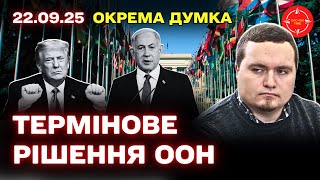 UK and Other Countries Recognize Palestine: Reactions and Ukraine's Position