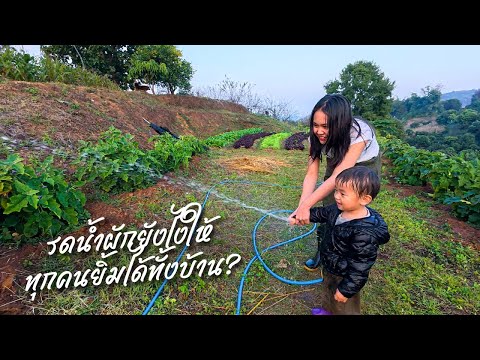 รดน้ำผักยังไงให้ทุกคนยิ้มได้ทั