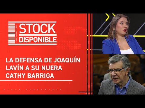 Lavín está faltando a la verdad, Josefa Barraza | Pauta Stock