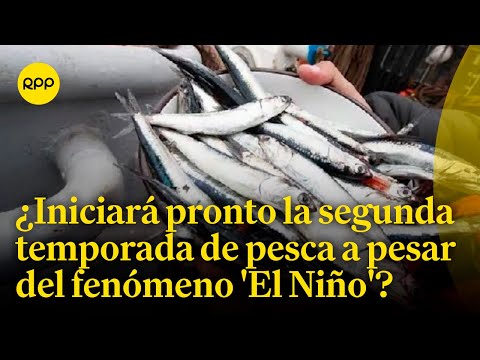Fenómeno 'El Niño: ¿Iniciará pronto la segunda temporada de pesca? | #MercadosYFinanzas