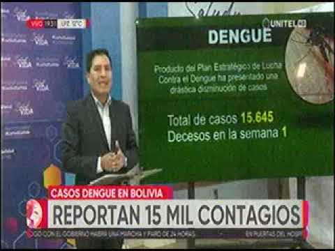 20032023   JEYSON AUZA   REPORTAN 15 MIL CONTAGIOS DE DENGUE EN BOLIVIA   UNITEL