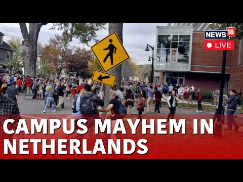 Amsterdam University Pro Palestinian Protest Live News | Students Demand Resignation Of Chair | N18L